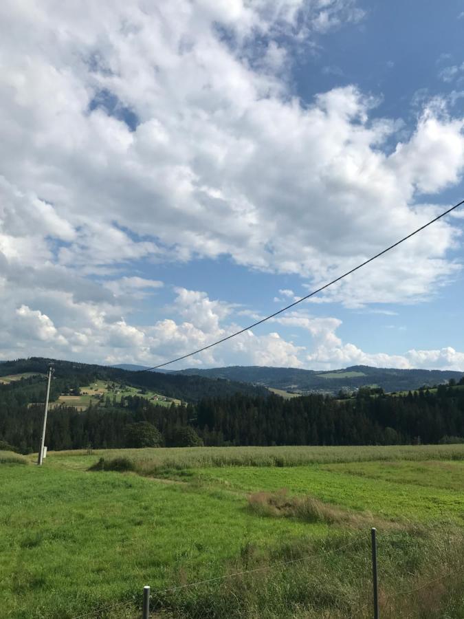 Do Wynajecia Skoski Holiday home Jaworzynka