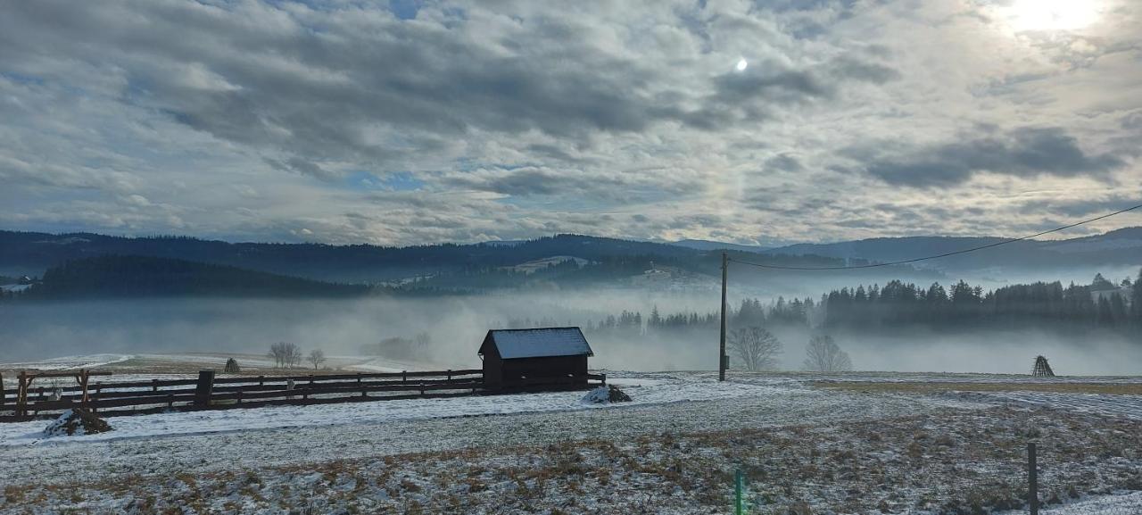 Do Wynajecia Skoski Holiday home